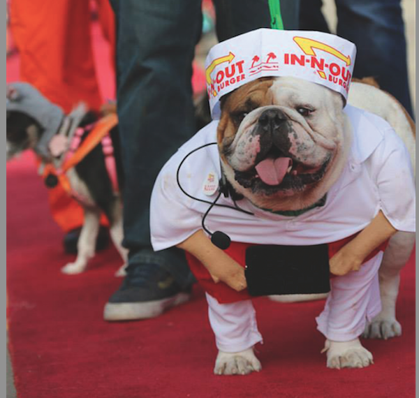 A participant in the Haute Dog Howl'oween Parade in Long Beach, California. (Photo by Justin Rudd)