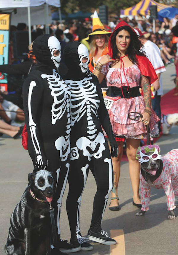 The Haute Dog Howl'oween Parade in Long Beach, California. (Photo by Justin Rudd)