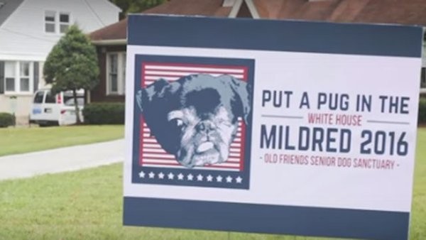 mildred-campaign