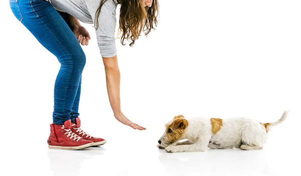 Woman giving the down command by Shutterstock.
