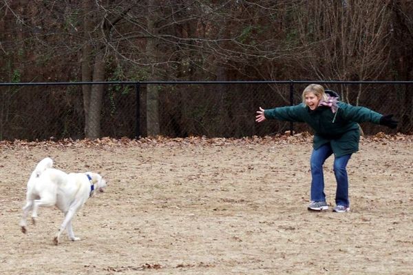 Lisa Matthews working on recall with a dog. (Photo courtesy Pawsitive Practice Training and Behavior Consulting)