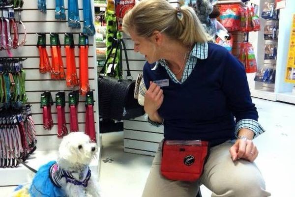 Lisa Matthews working with a client. (Photo courtesy Pawsitive Practice Training and Behavior Consulting)