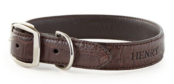 Alligator-dog-collar