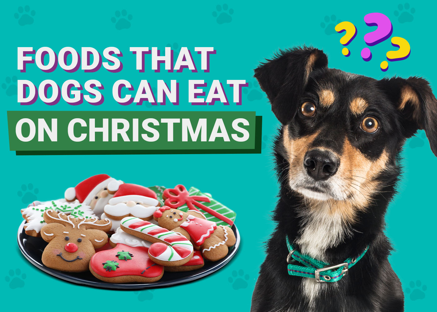 Dogs Can Eat on Christmas
