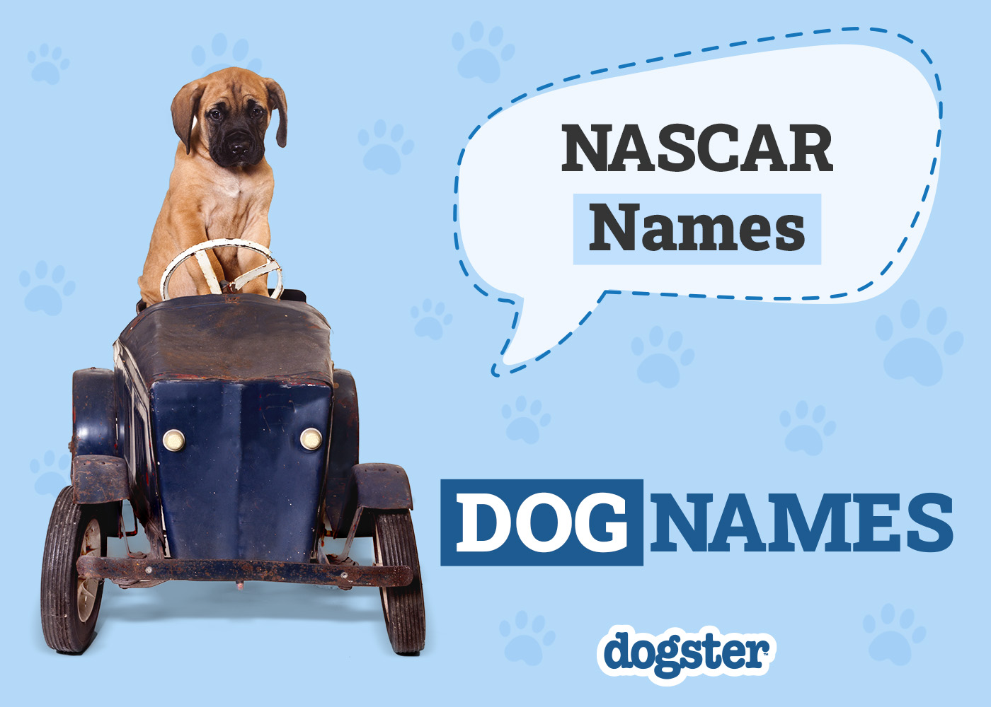 Dogster_Nascar Names