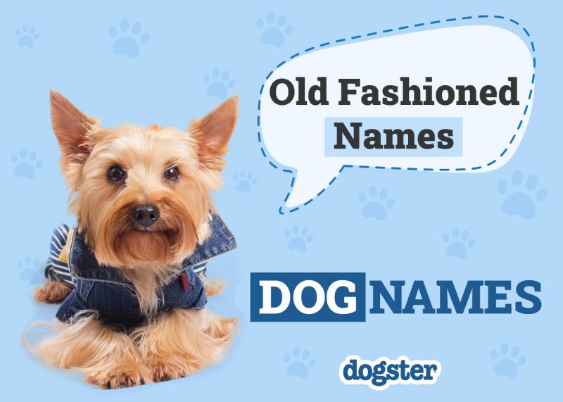 Dogster_Old Fashioned Names