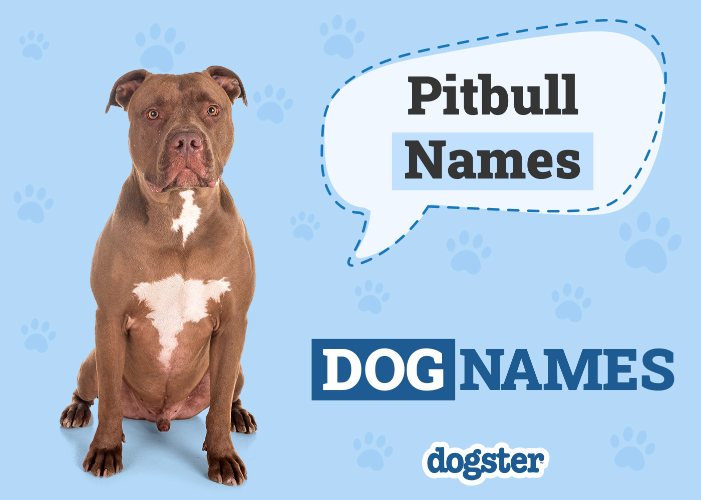 Dogster_Pitbull Names