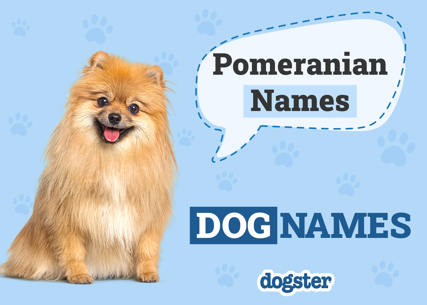 Dogster_Pomeranian Names