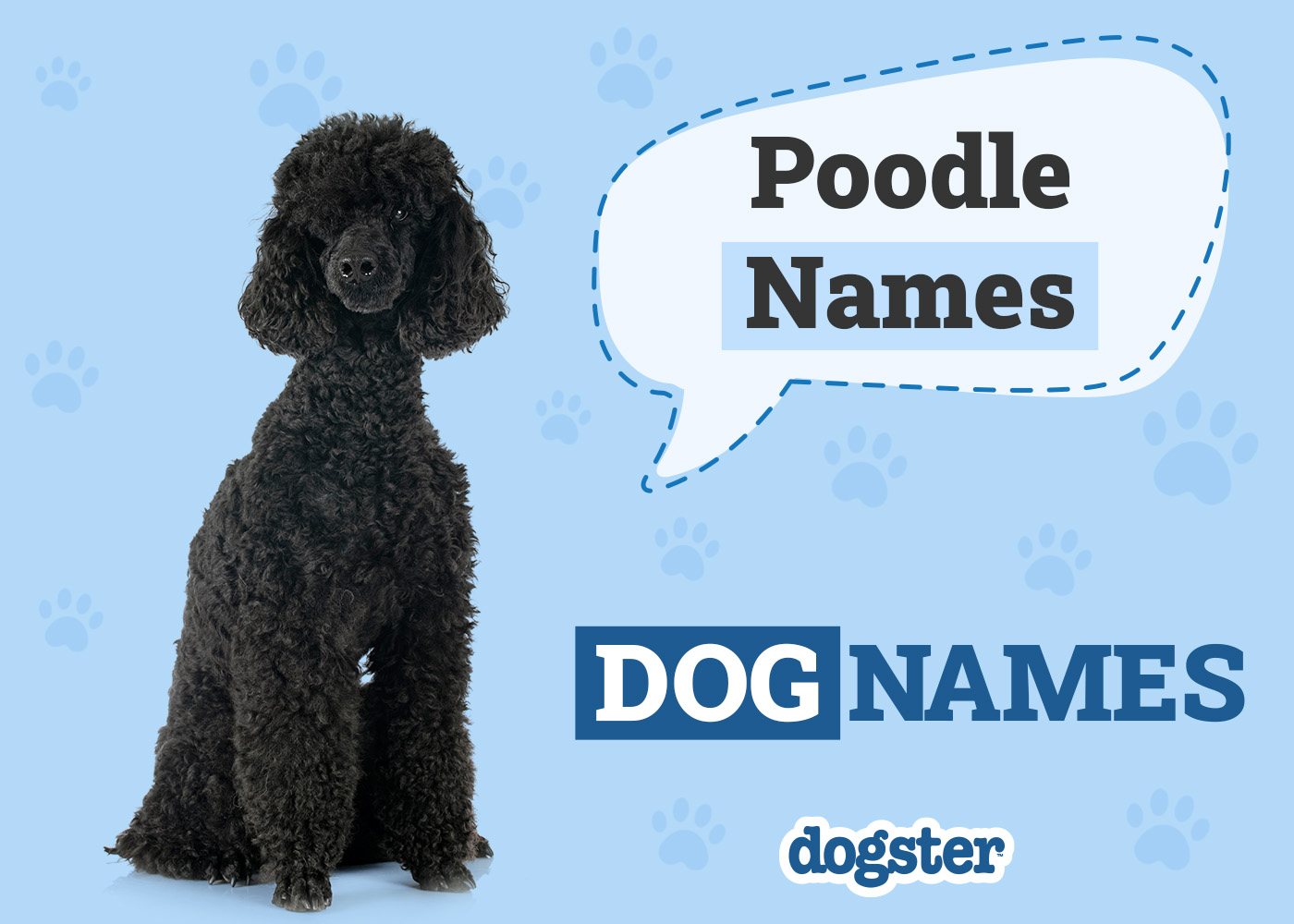 Dogster_Poodle Names