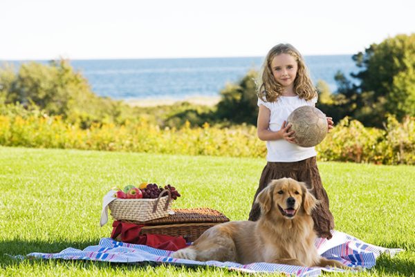 Inn-by-the-Sea-pet-package