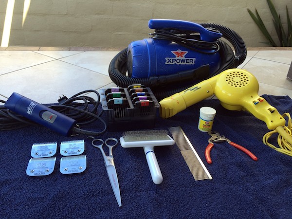 My grooming tools. (Photo by Jackie Brown)