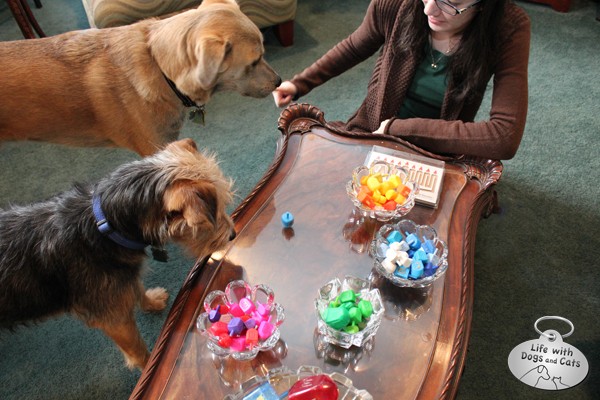 Tucker and Jasper watch Corinne spin the dreidel.