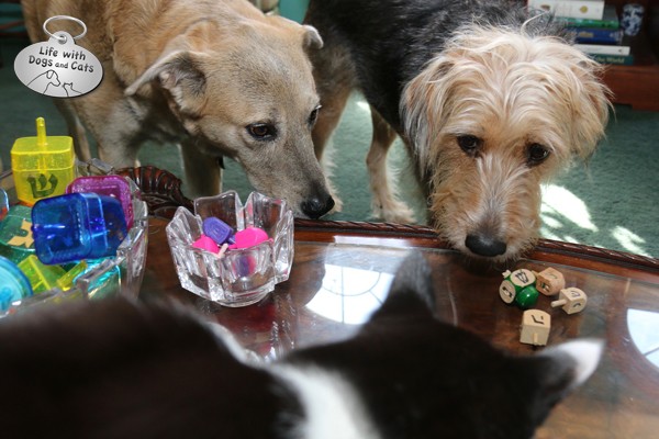 Jasper, Tucker and Calvin take the dreidel game very seriously.