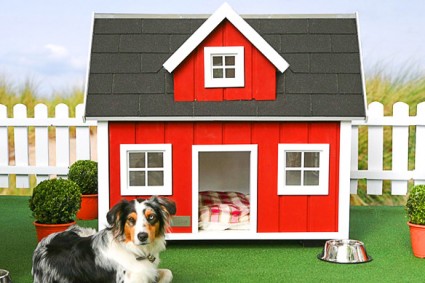 in your dog house gifts