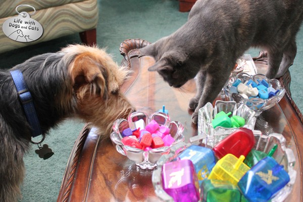 Tucker and Athena have a lot riding on this spin.
