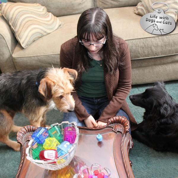 My daughter spins the dreidel for Lilah, while Tucker watches. (