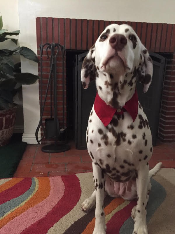 Luna, who take a more androgynous approach to fashion, models my DIY accessory. (Photo by Wendy Newell)