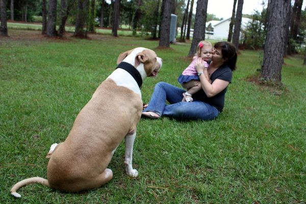 Axle looks on as my daughter gets a kiss. She was much more concerned with getting back to the "doh!" (Photo credit: Josh Lodge)