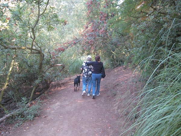 Riggins goes for a stroll with his sitters. (Photo by Wendy Newell)