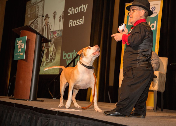 Hercules waits for the toy. (Photo by Gina Cioli/i-5 Studio)