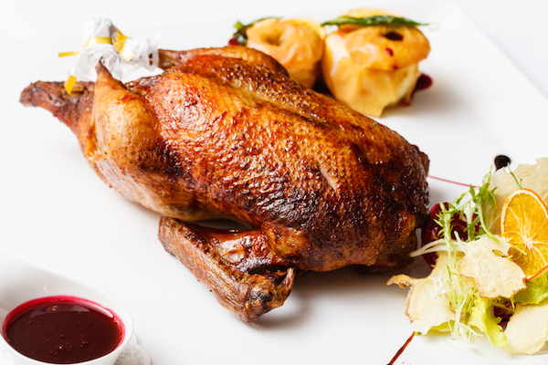 can dogs have turkey meat