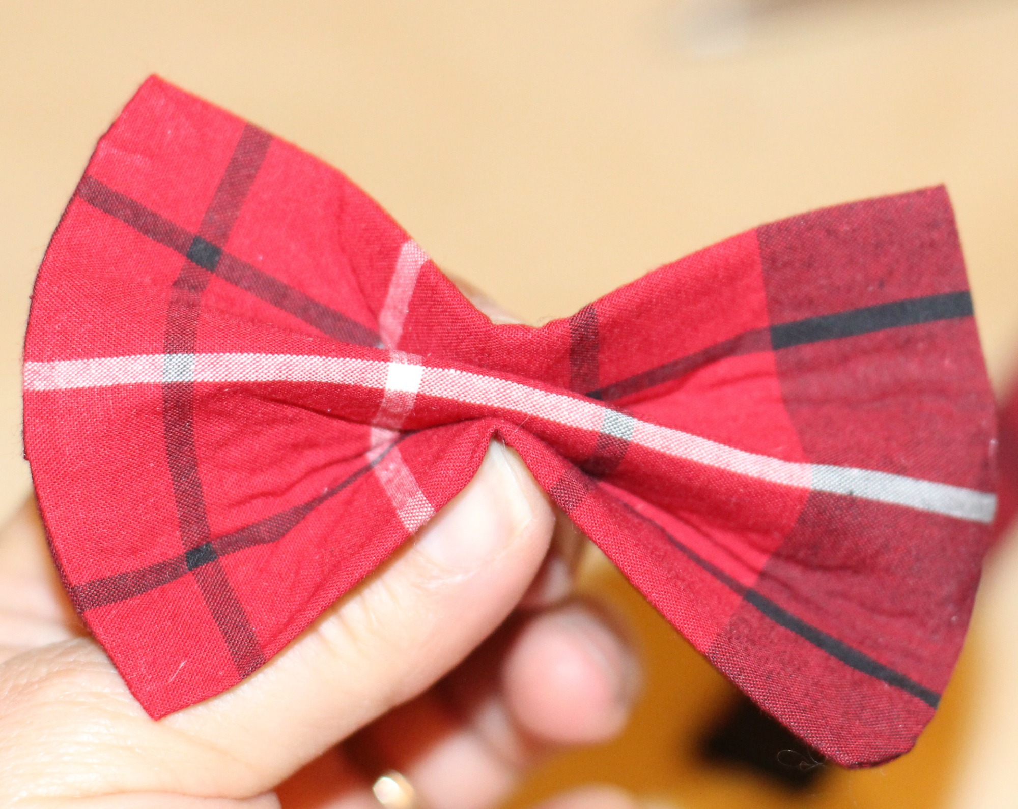 How to Make a Bow Tie for Your Dog Dogster