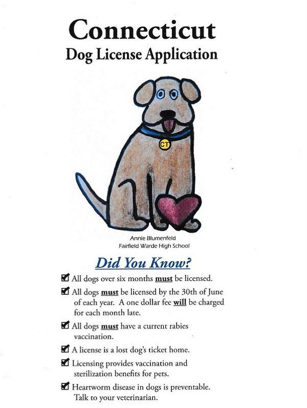 Thanks to Annie, all Connecticut dog licenses now carry a heartworm awareness message.