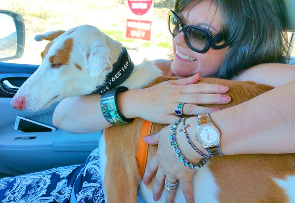 Cloudy on his way home with Hound Sanctuary volunteer Tiffani Maldonado. Cloudy was found in Spain with both front legs broken, most likely by his hunter-owner who abandoned him on the streets. Renamed Feargal McCloud, he is now enjoying a wonderful life in Santa Cruz, CA with his adoring forever family. Photo credit: Hound Sanctuary