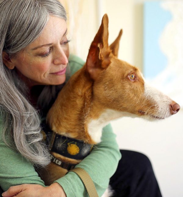 Rain and her handsome rescue Ibizan hound, Boy Boy, the inspiration for Hound Sanctuary. Photo courtesy of Kevin Johnson, Santa Cruz Sentinel