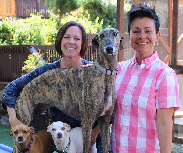 This is Spencer, a brindle Galgo rescued from the Toledo area of Spain. Here he is with his doting adoptive moms, Cynthia Evans and Michelle Sanchez, and his Chihuahua siblings. Photo credit: Hound Sanctuary