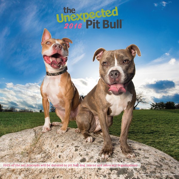 The 2016 Unexpected Pit Bull Calendar.