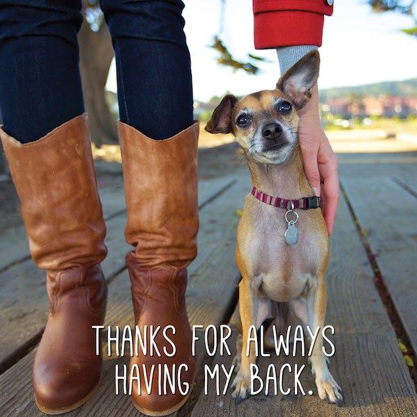 Thanks_Picking_Up_Poop-1
