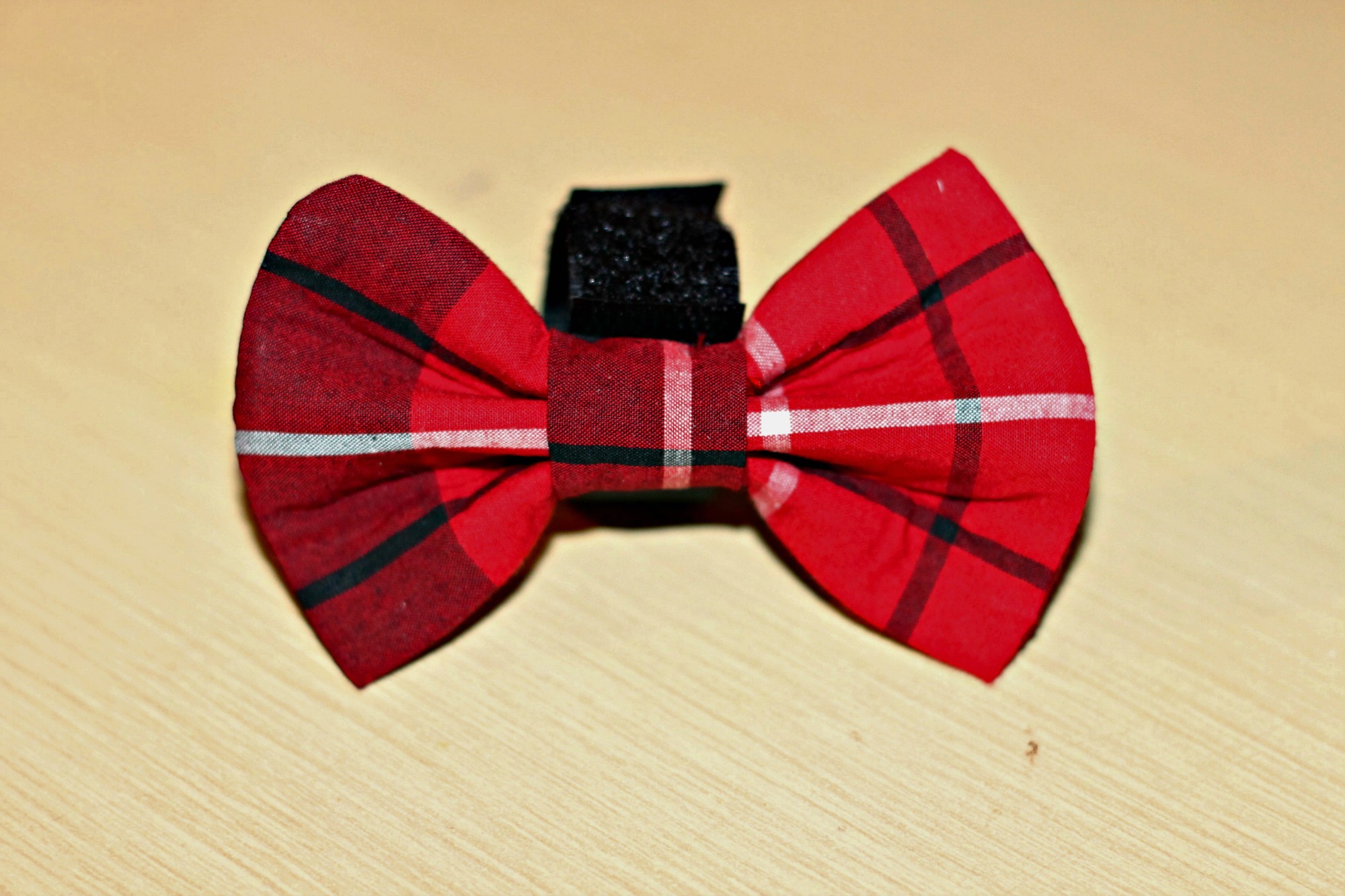 How to Make a Bow Tie for Your Dog Dogster