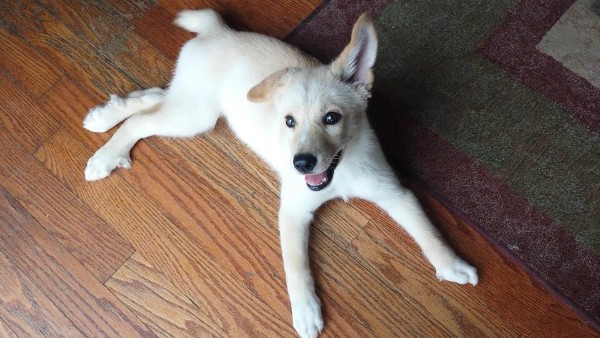 No one knows what her future holds, but Chuda is a happy little girl.