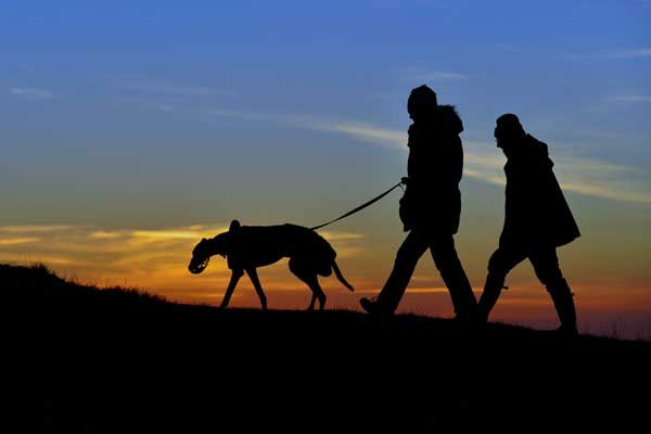 Take a friend with you on night walks. Walking a dog at sunset by Shutterstock