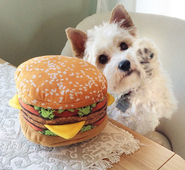 JamesFrancoBurger