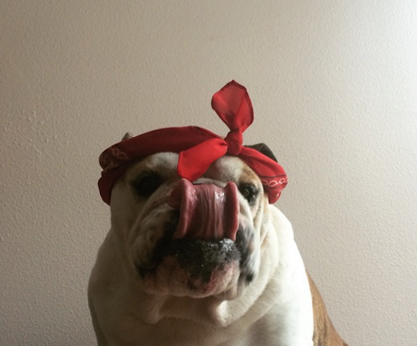 LucilleBall4