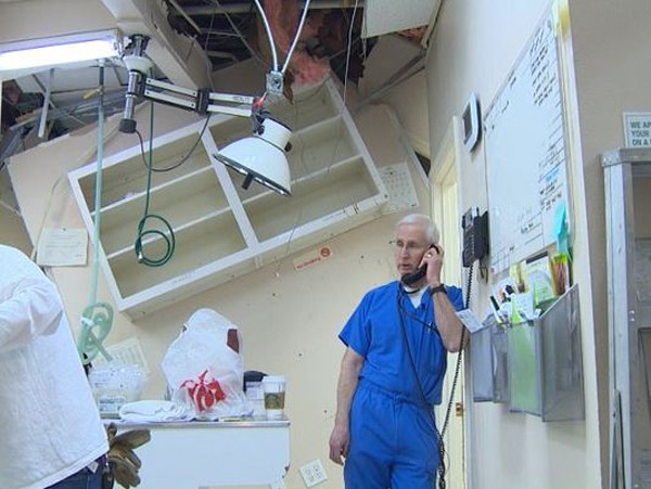 bonehead-drives-car-through-animal-hospital-4