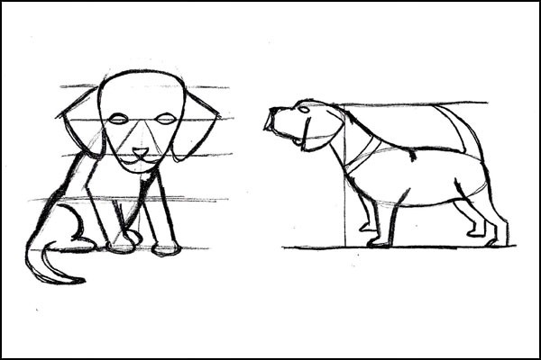 how to draw an easy puppy 06