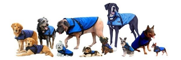 I was thrilled to discover the Rein Coat for dogs of all sizes. (Photo courtesy Rein Coat)