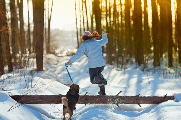 Woman and dog in snow by Shutterstock