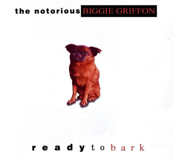 BiggieGriffon4