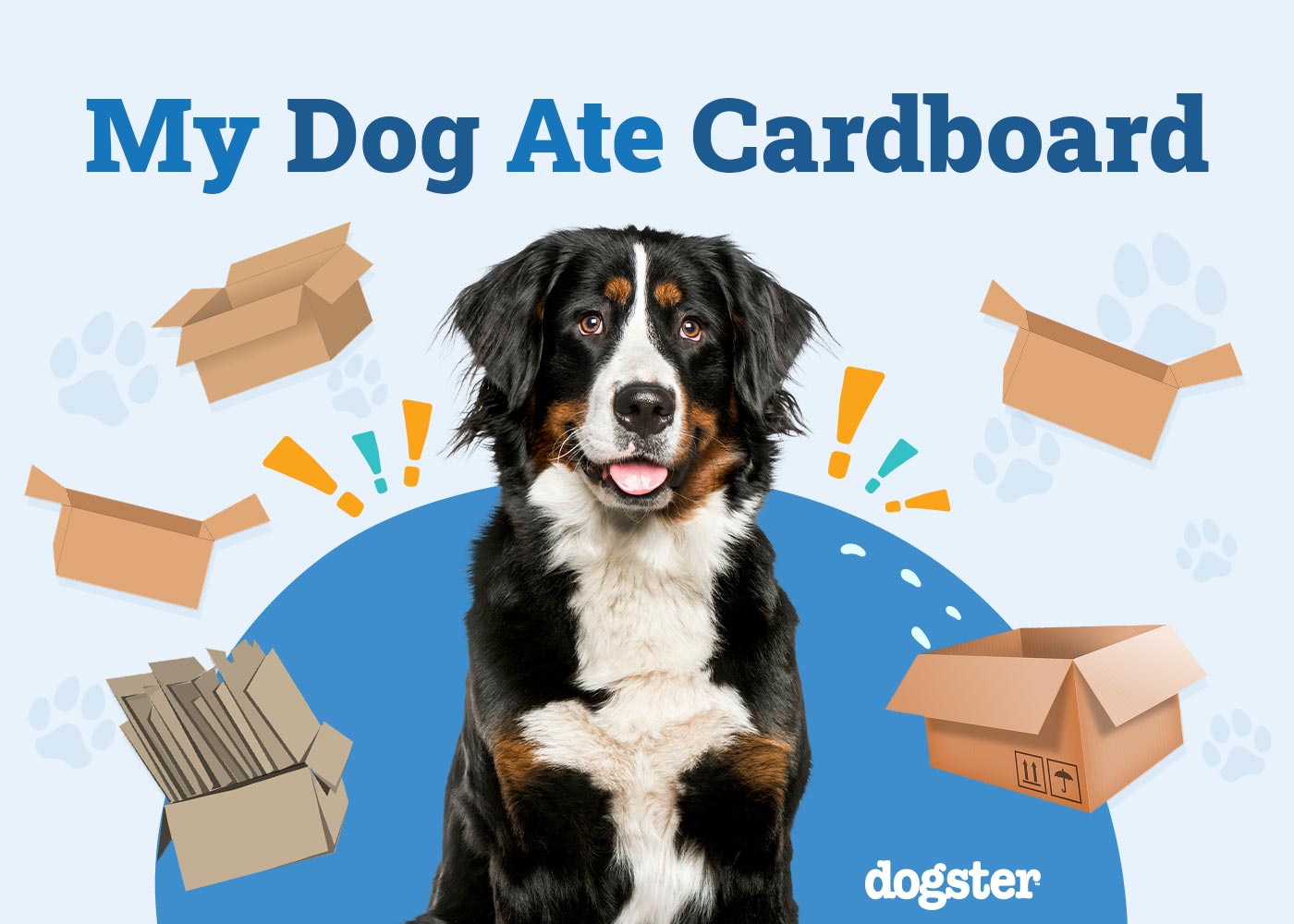 My Dog Ate Cardboard Should I Be Worried? Our Vet Answers Dogster
