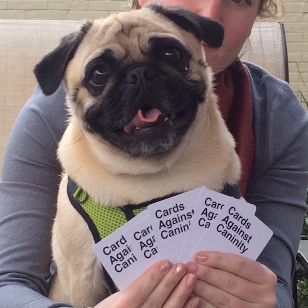 Bubba the Pug.