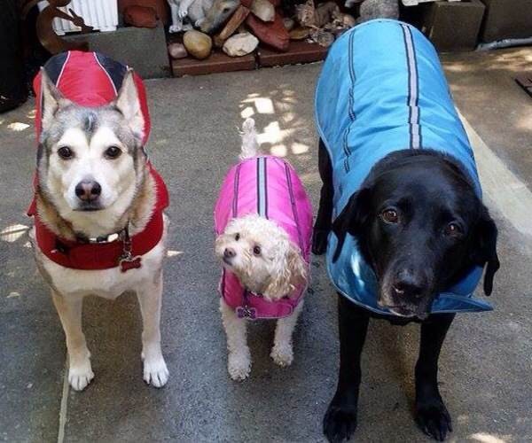 Summer and Cena model their raincoats during a cold, wet walk. (Photo by Karen Minter) 