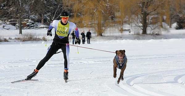 Mike Christman and his dog, Ridge, at the City of Lakes skijoring Loppet.