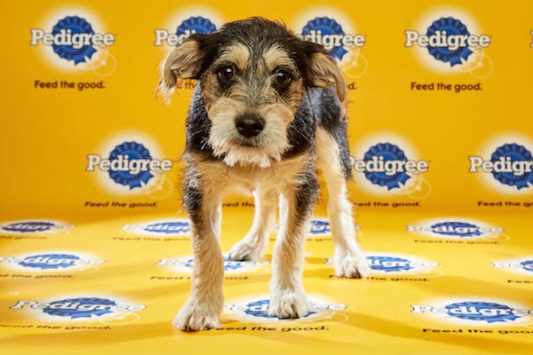Kevin. (Photo by DCL/Keith Barraclough)