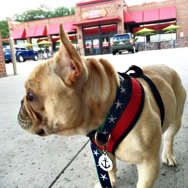 louie at sheetz done