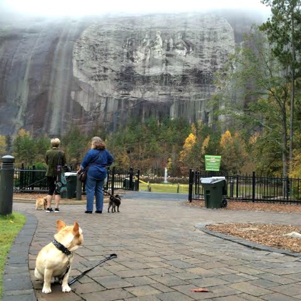 louie at stone mountain done
