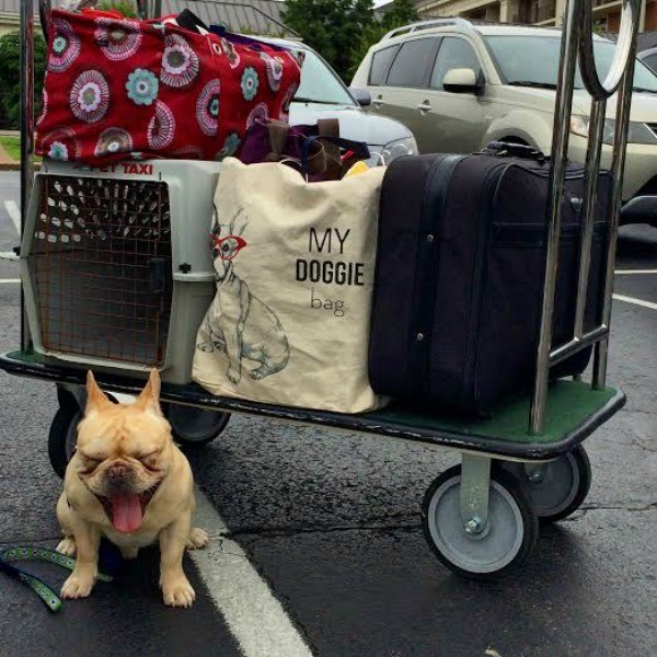 louie traveling done